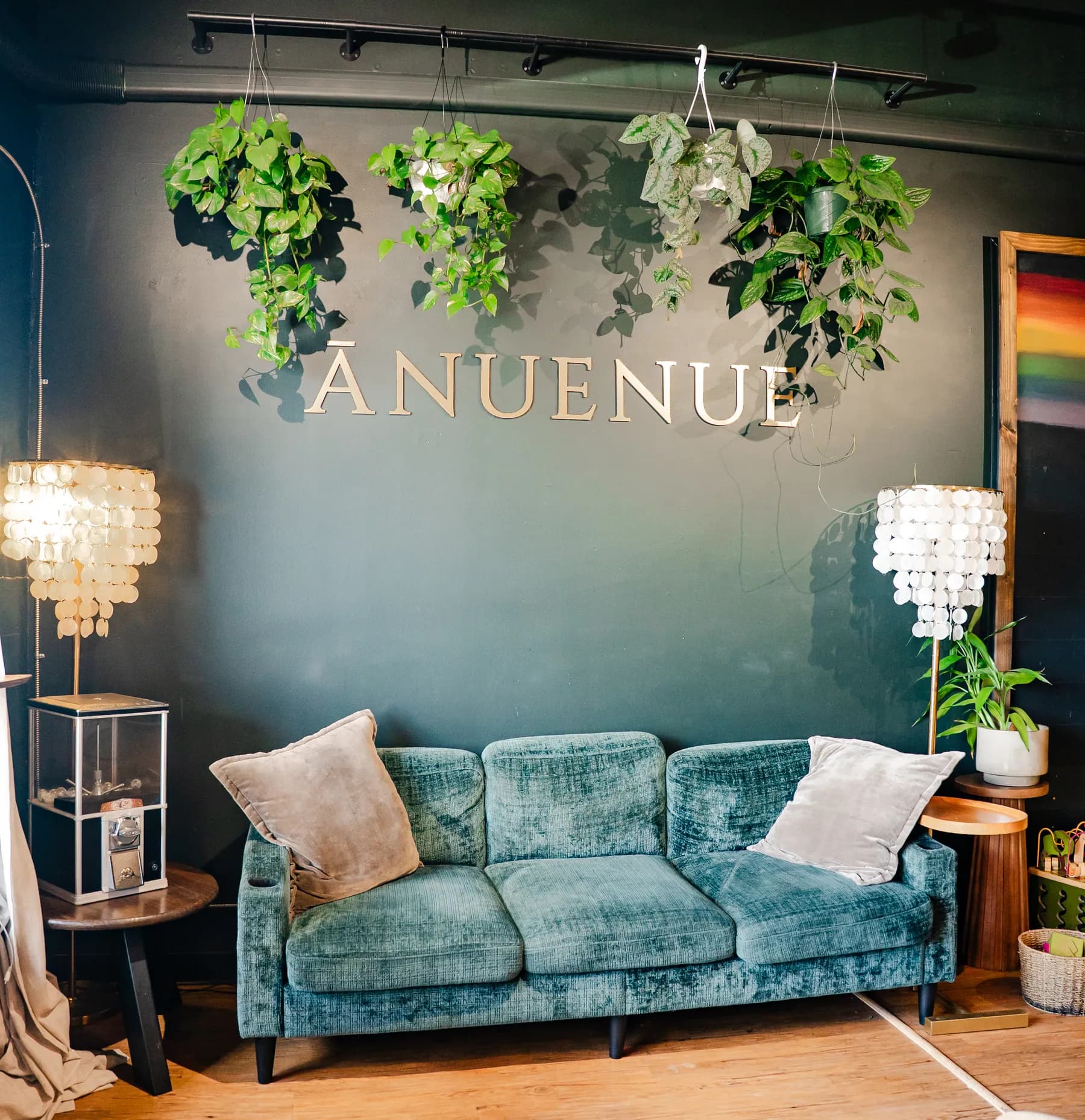 Brass Ānuenue lettering and trailing plants above a teal velvet couch in the lounge