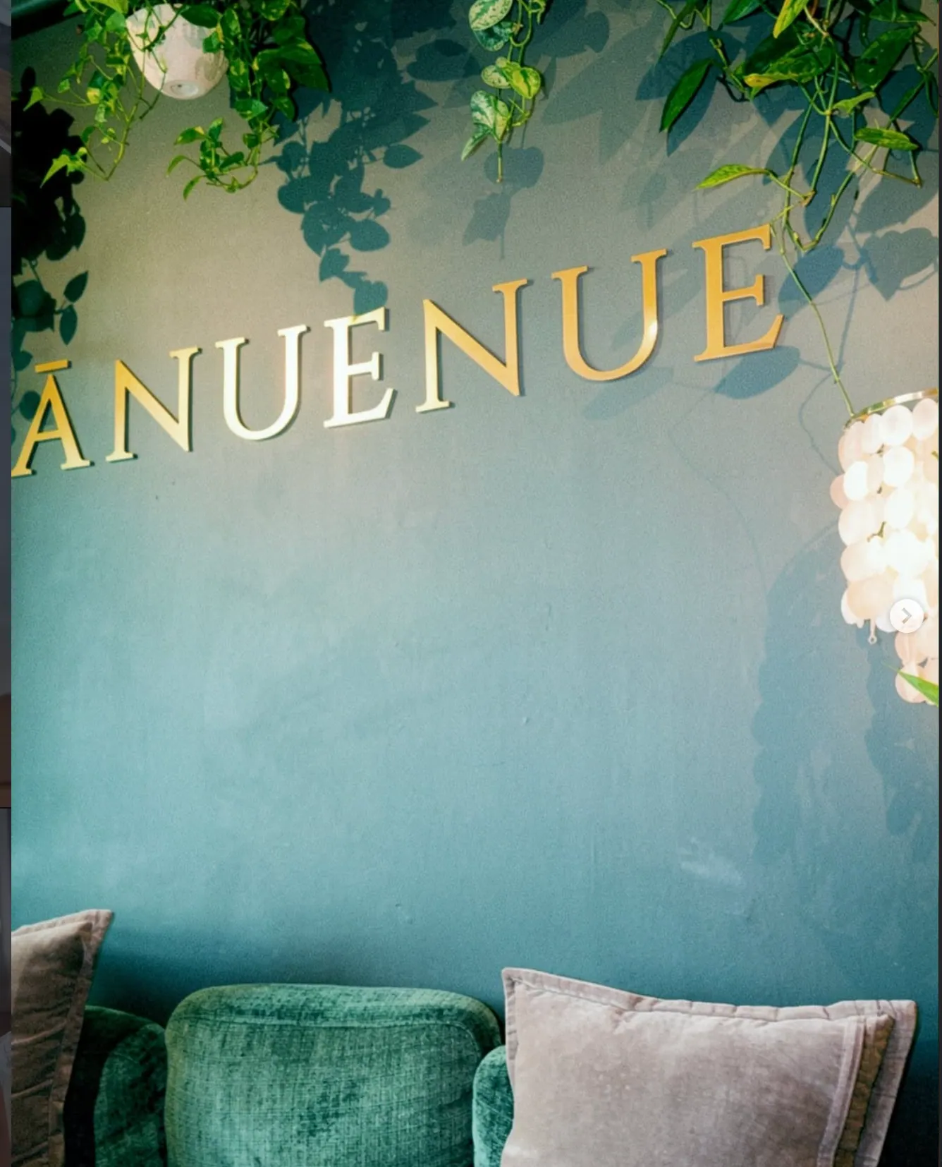 Gold Ānuenue letters on the teal lounge wall, with pothos trailing from hanging planters